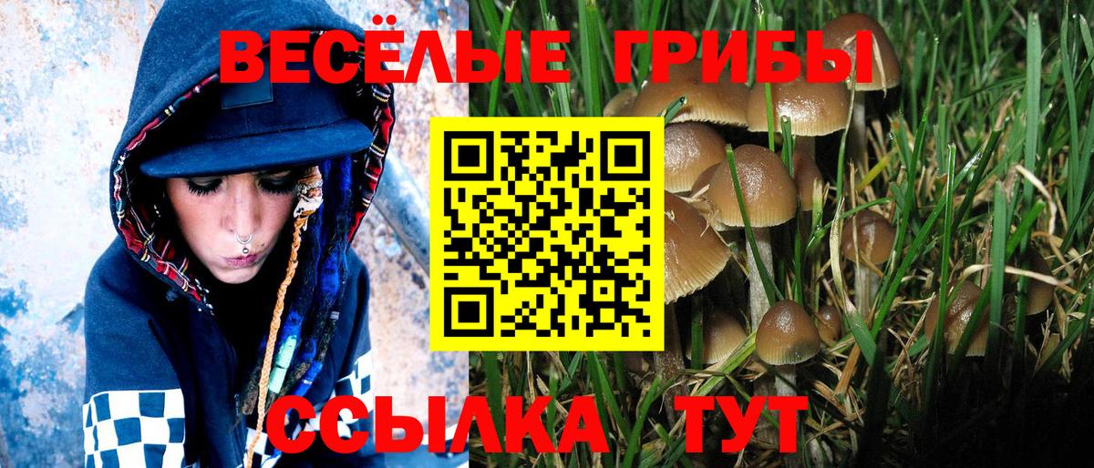 Псилоцибиновые грибы ЛСД Чапаевск