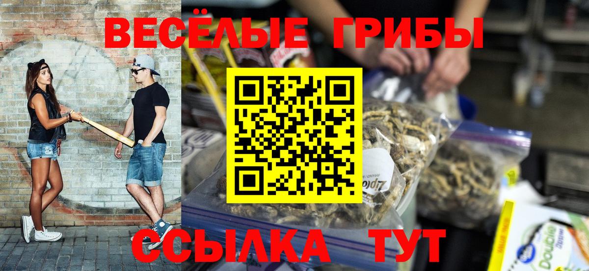 Псилоцибиновые грибы мухоморы  Вход с VPN  купить наркотики сайты  Чапаевск 